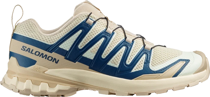 Salomon XA Pro 3D V9 Lifelong eucalyptus/iron (Herren)