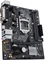 ASUS Prime H310M-D (Intel 1151 v2) Vorschaubild