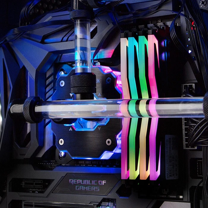 Raijintek Forkis Pro RBW