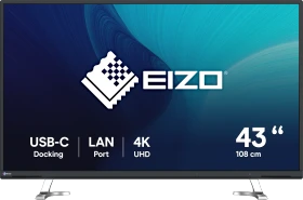 Eizo FlexScan EV4340X, schwarz, 42.5"