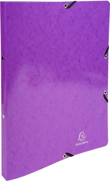 Exacompta Iderama Ringbuch 2-Ring, 20mm, A4, violett