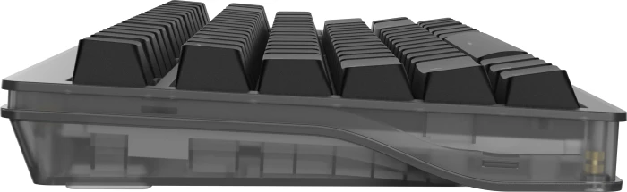 Wooting 80HE, Ghost, grau/transluzent, LEDs RGB, Lekker V2 L60 Linear, USB, US