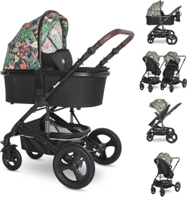 Lorelli Boston tropical flowers