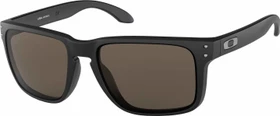 Oakley Holbrook XL matte black/warm gray