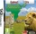 Animal Life - Afrika (DS)