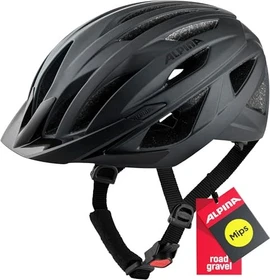 Alpina Delft MIPS Helm black matt