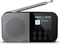 Sharp Osaka DR-P520 (DR-P520(GY)) Vorschaubild