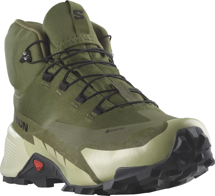 Salomon Cross Hike 2 Mid GTX olive night/moss grey/black (Herren)