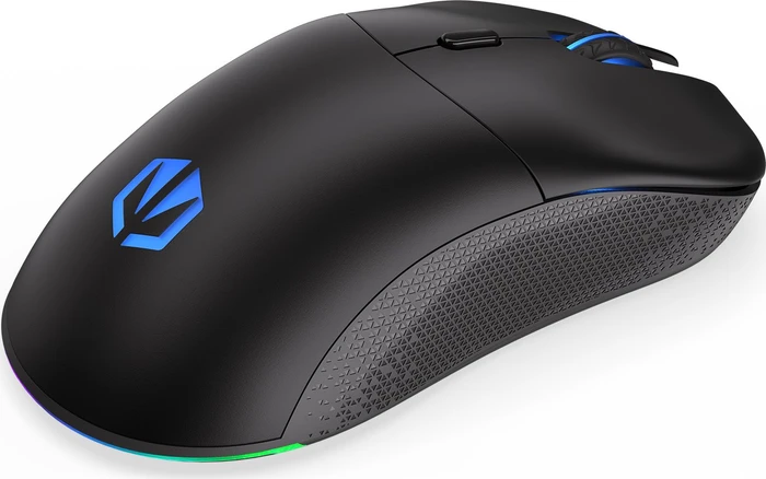 Endorfy GEM Plus Wireless, schwarz, USB
