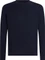 Icebreaker Merino Anatomica Funktionsshirt langarm (Herren) Vorschaubild