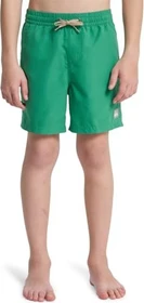 Quiksilver Everyday Volley 14" Badeshorts leprechaun (Junior)