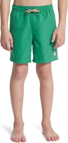 Quiksilver Everyday Volley 14" Badeshorts leprechaun (Junior)