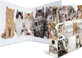 Herma Ordner 2-Ring mit Motiv, 70mm, A4, Animals Katzen
