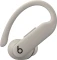 Apple Beats Powerbeats Pro 2 Vorschaubild