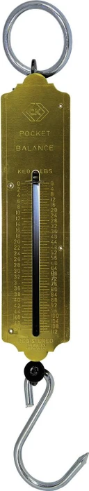 CK Tools T6202 112, Hängewaage, 50kg, 500g