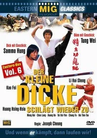 Der kleine Dicke schlägt zurück (DVD)