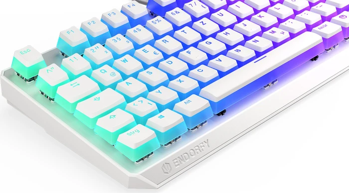 Endorfy Thock TKL Pudding, Onyx White, PBT, LEDs RGB, Kailh BROWN, USB, DE