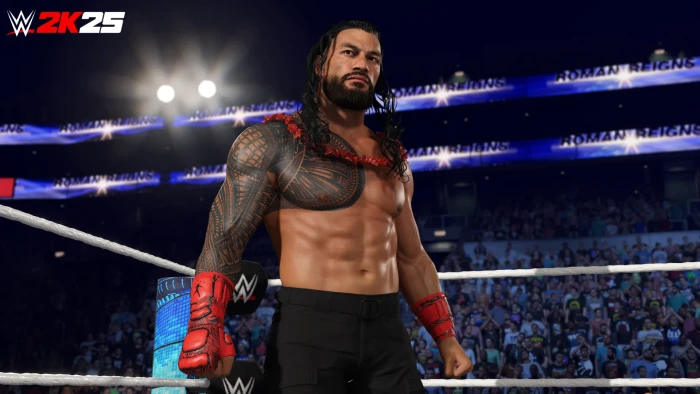 WWE 2k25 (Xbox One/SX)