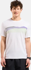 Odlo F-Dry Bergkamm-Print T-Shirt kurzarm weiß (Herren)