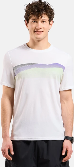 Odlo F-Dry Bergkamm-Print T-Shirt kurzarm weiß (Herren)