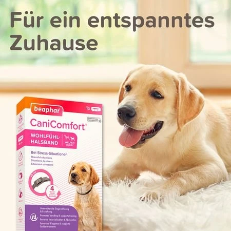 beaphar CaniComfort Pheromon Wohlfühl-Halsband für Welpen 45cm, 1 Stück