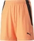 Puma TeamLIGA Shorts Trainingshose kurz (Junior) Vorschaubild
