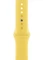 Apple Sportarmband Regular für Apple Watch 44mm ingwer Vorschaubild
