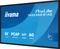 iiyama ProLite T6529AS-B1AG, 64.5" Vorschaubild