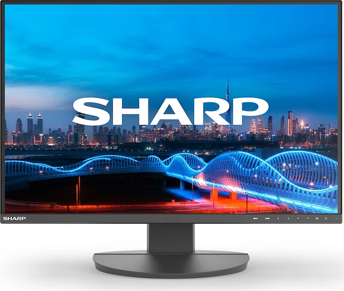 NEC MultiSync EA241W-BK, schwarz, 24"