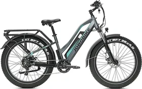 Jobobike Robin 696Wh grau/grün