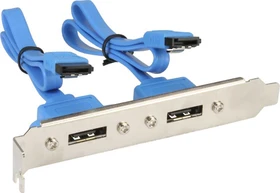 DeLOCK 2x eSATA Slotblende