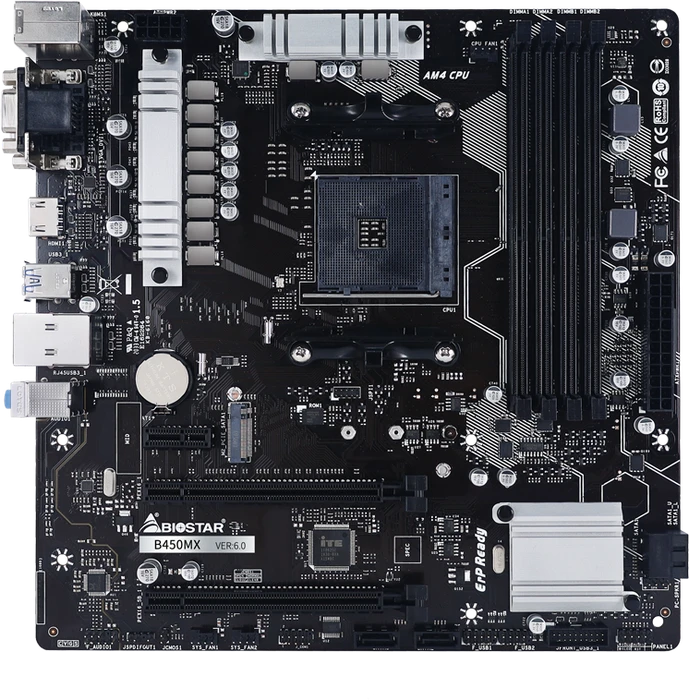 Biostar B450