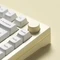 Akko MOD 007B HE, Cream White, LEDs RGB, hot-swap, Cream Yellow Magnetic, USB/Bluetooth, DE Vorschaubild