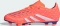 adidas Predator Club FG/MG signal coral/cloud white/beam orange (Junior) Vorschaubild