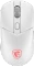 MSI Versa 300 Vorschaubild
