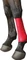 Kerbl EquiLastic Selbsthaftende Bandage, 450x7.50cm, rot Vorschaubild