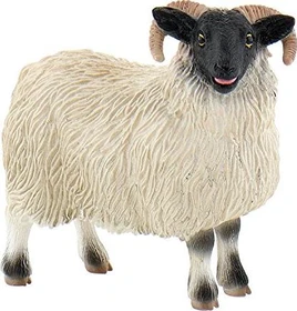 Bullyland Animal World - Farmland - Scottish Blackface Schaf
