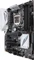 ASUS Z170-A (Intel 1151) Vorschaubild