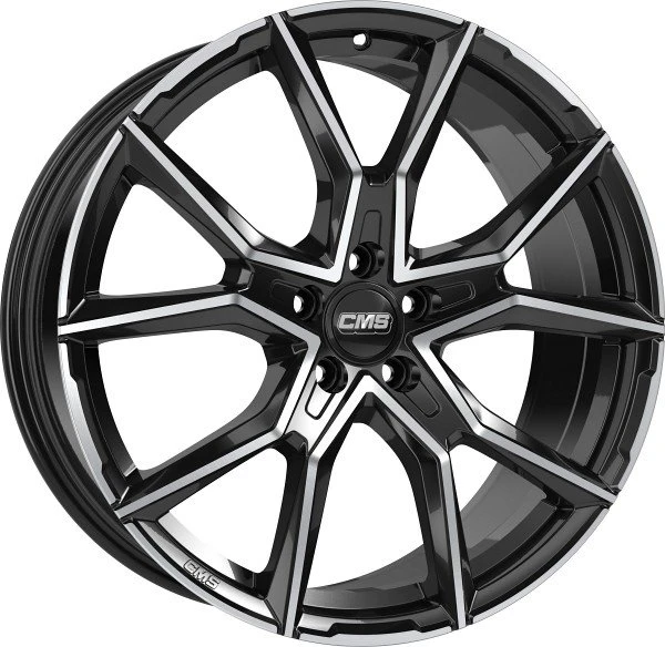 CMS C33