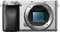 Sony Alpha 6100 Vorschaubild