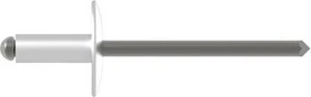 Gesipa A2 Edelstahl Großkopf Blindniete 4.8x20mm, 250 Stück