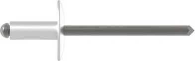 Gesipa A2 Edelstahl Großkopf Blindniete 4.8x20mm, 250 Stück