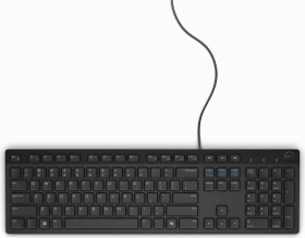 Dell KB216 Multimedia Keyboard, schwarz, USB, UA (580-AHHE)