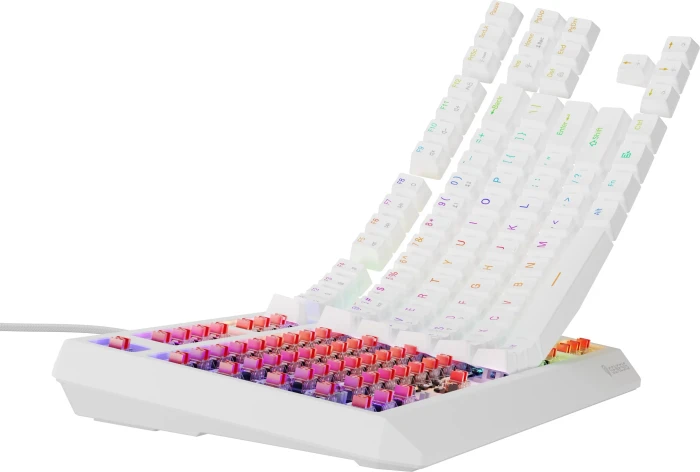 Genesis Thor 230 TKL, weiß, LEDs RGB, hot-swap, Outemu Red, USB, US