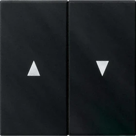 Gira Wippe 2fach mit Pfeilsymbol, schwarz matt