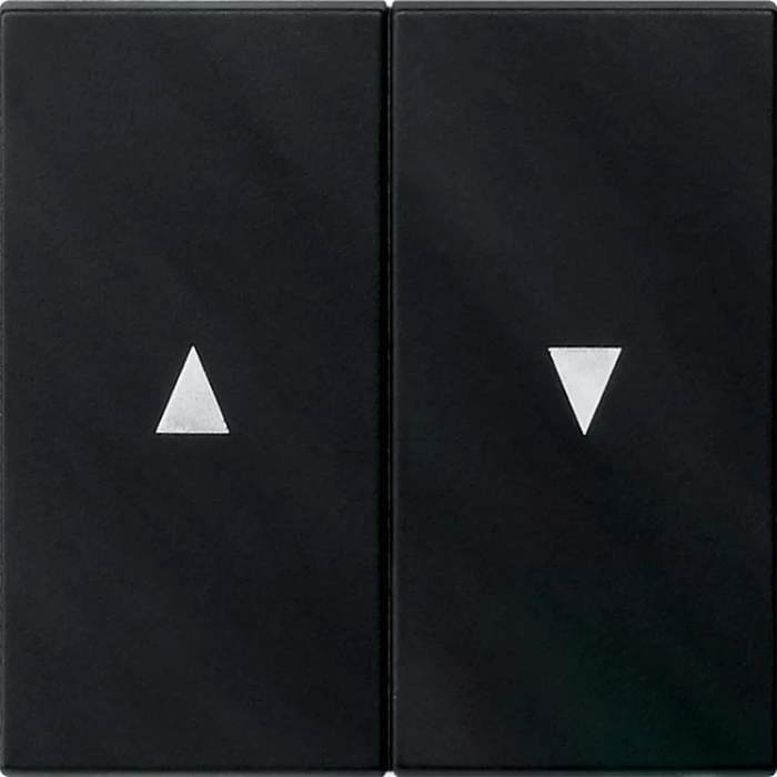 Gira Wippe 2fach mit Pfeilsymbol, schwarz matt
