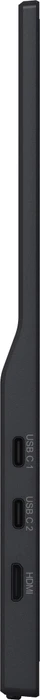 iiyama ProLite P1671HSC-B1, 15.6"