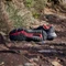 adidas Terrex Soulstride Rain.RDY core black/grey four/solar red (Herren) Vorschaubild