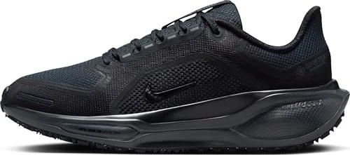 Nike Pegasus 41 Gore-Tex black/anthracite (Damen)