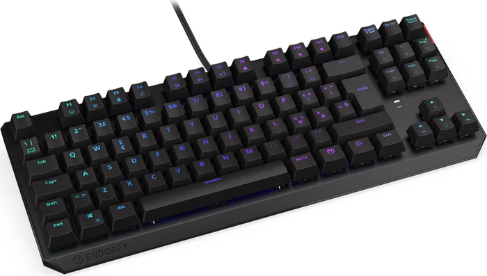 Endorfy Thock TKL, LEDs RGB, Kailh BROWN, USB, IT